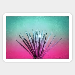 Maguey plant and color gradient photograph Sticker